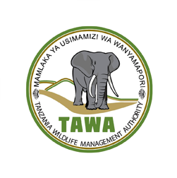 TAWA
